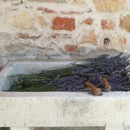 Lavender Dreams Hvar بيت للعطل