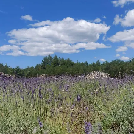 بيت للعطل Lavender Dreams Hvar ستاري غراد